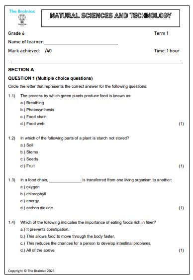 Gr 6 NST Assessment (Term Test) - Term 1