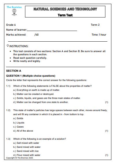 Gr 6 NST Assessment (Term Test) - Term 2
