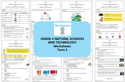 Gr 4 NST Worksheets - Term 2