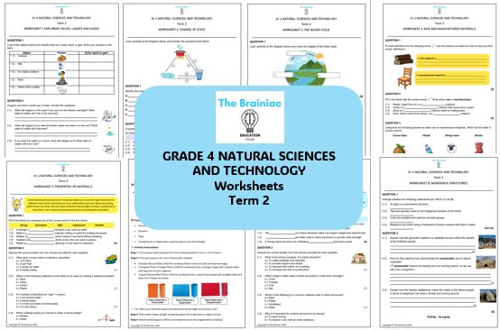 Gr 4 NST Worksheets - Term 2