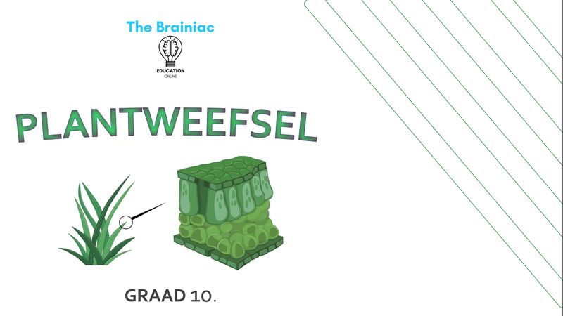 Gr 10 Lewenswetenskappe PowerPoints - Kwartaal 2