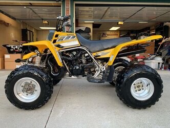 Banshee dealership deals