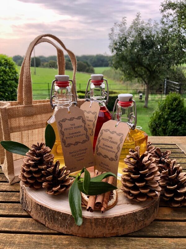 Christmas Gift Bag - for a gin lover