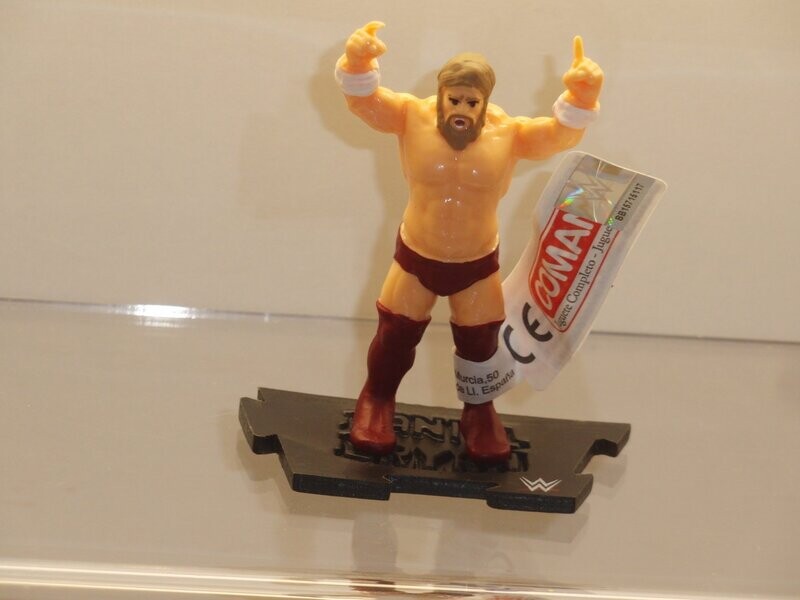 WWE Wrestling-Figuren: Comansi 2016: Danel Bryan WWE Wrestling-Figuren: Comansi 2016: Danel Bryan