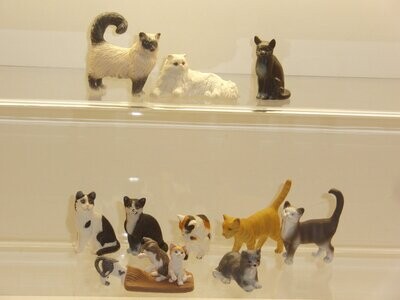 Katzen