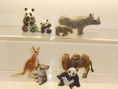 Tiere aus Asien , Australien und Südamerika