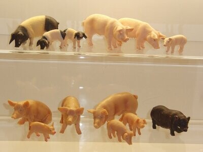 Schweine