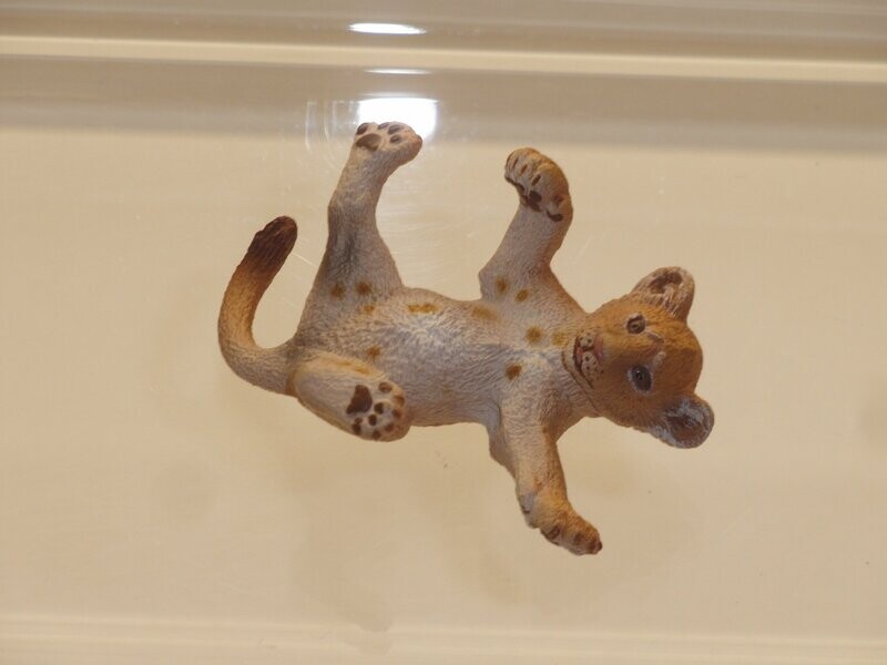 Schleich: 14376 Löwenjunges liegend Schleich: 14376 Löwenjunges liegend