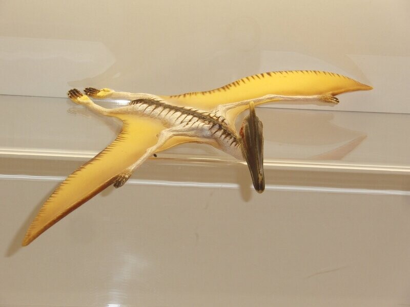 Schleich: 16463 Quetzalcoatlus Schleich: 16463 Quetzalcoatlus