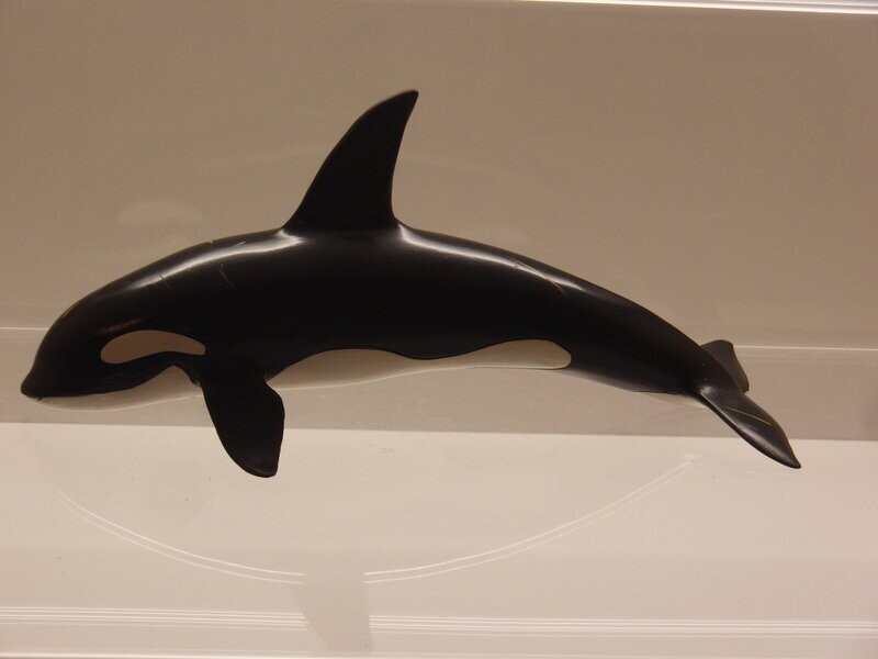 Schleich: 16071 Orka 1:32