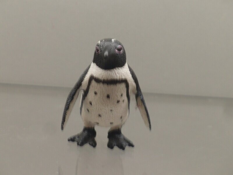 Schleich: 14705 Brillenpinguin