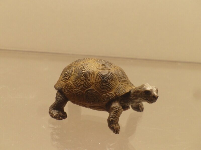 Schleich: 14643 Riesenschildkröte Jungtier Schleich: 14643 Riesenschildkröte Jungtier