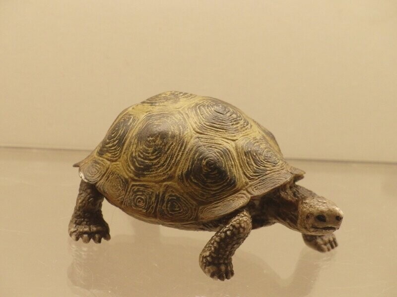 Schleich: 14601 Riesenschildkröte Schleich: 14601 Riesenschildkröte