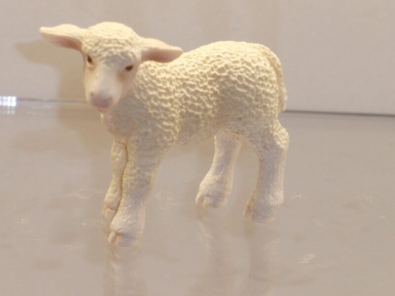 Schleich: 13285 Schäfchen stehend Schleich: 13285 Schäfchen stehend