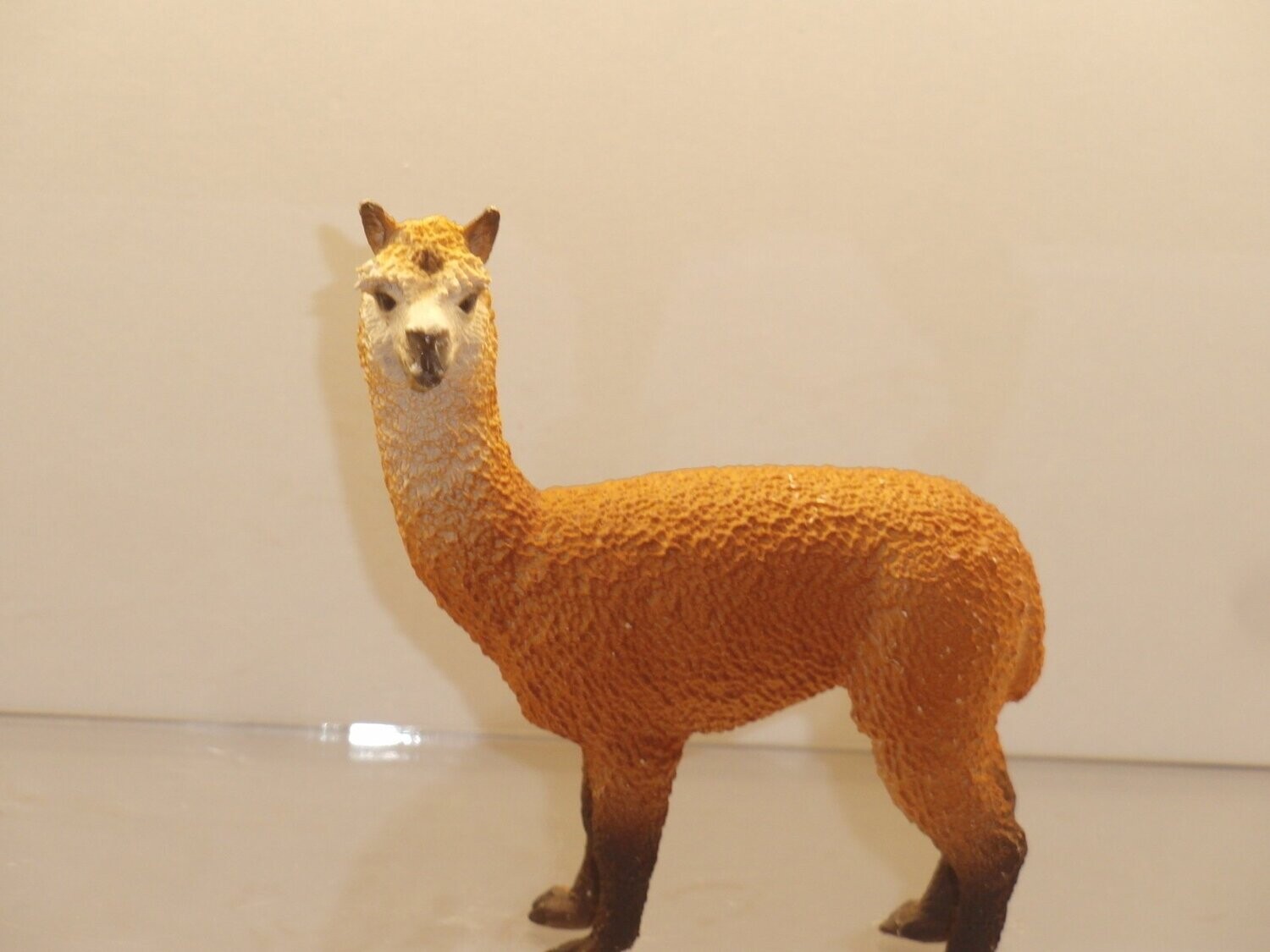  Foto zu Schleich: 13703 Alpaka Hengst 