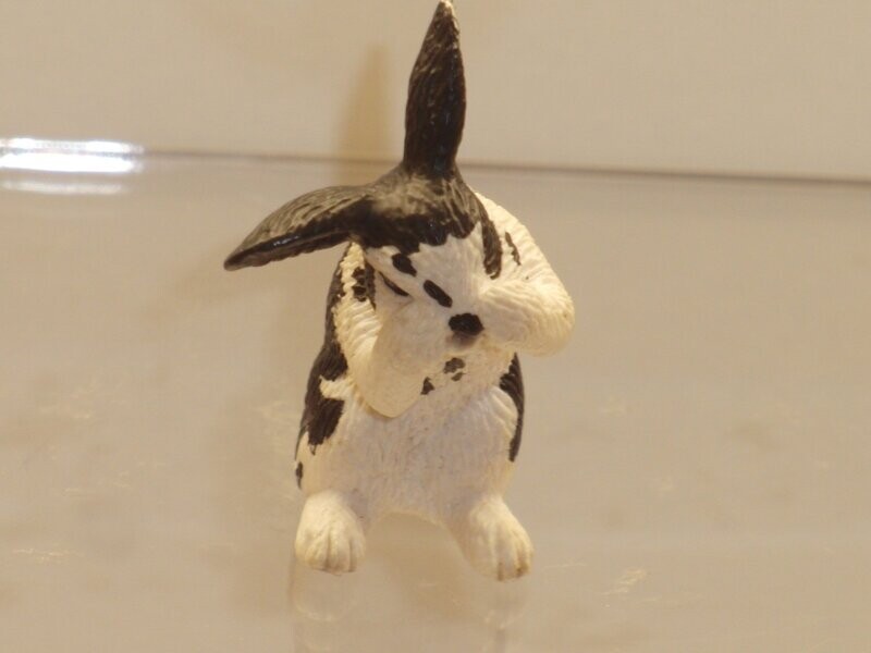 Schleich: 13698 Kaninchen putzend Schleich: 13698 Kaninchen putzend