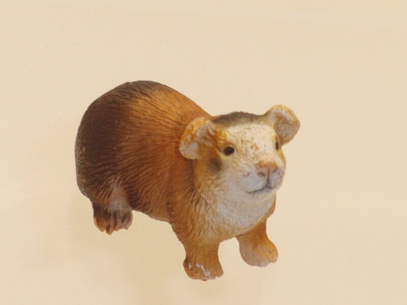 Schleich: 14417 Meerschweinchen Schleich: 14417 Meerschweinchen