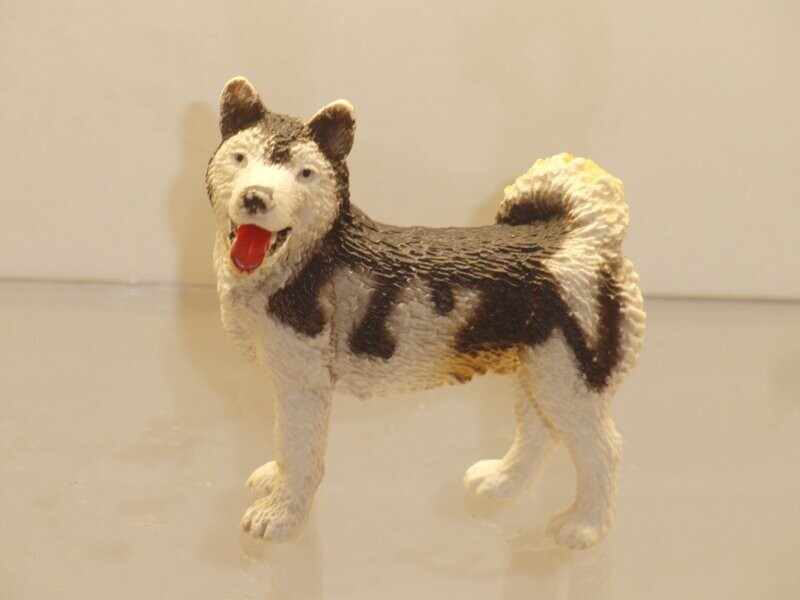 Schleich: 16311 Husky