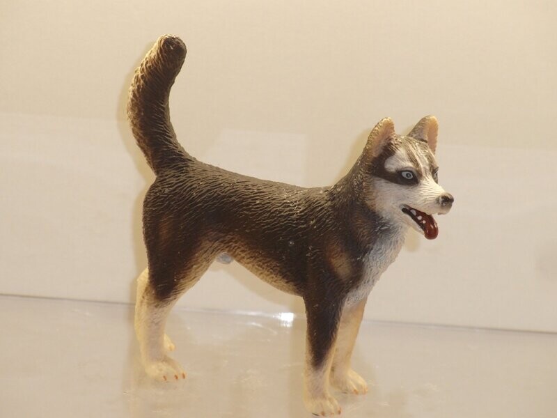 Schleich: 16371 Husky Rüde