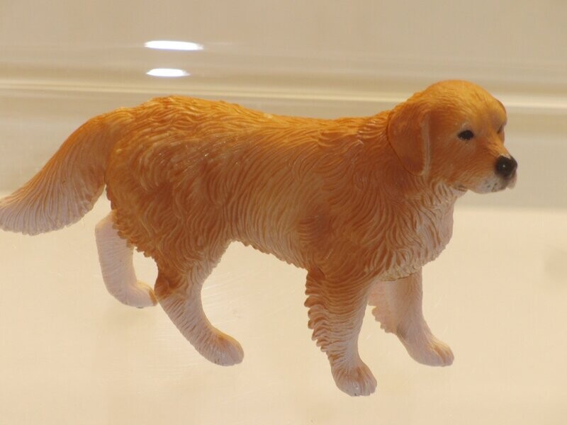 Schleich: 16377 Golden Retriever Rüde Schleich: 16377 Golden Retriever Rüde