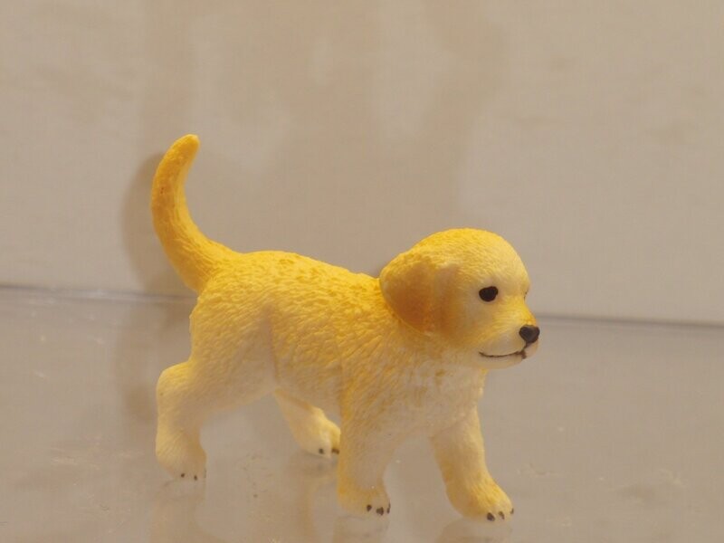 Schleich: 16396 Golden Retriever Welpe Schleich: 16396 Golden Retriever Welpe