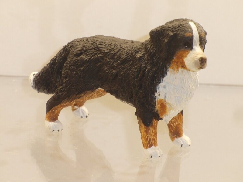 Schleich: 16397 Berner Sennenhündin