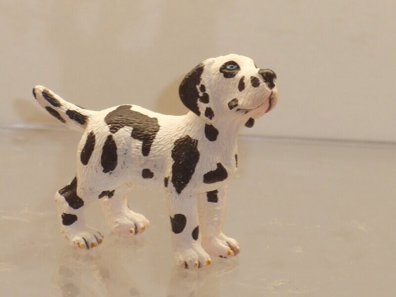 Schleich: 16385 Deutsche Dogge Welpe Schleich: 16385 Deutsche Dogge Welpe