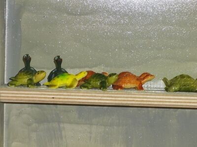Schildkröten