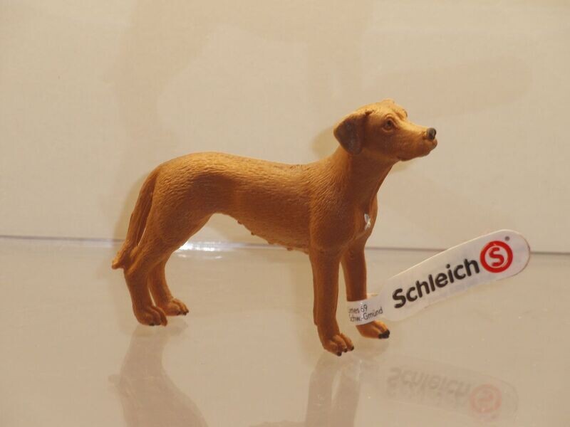 Schleich: 13895 Rhodesian Ridgeback Hündin