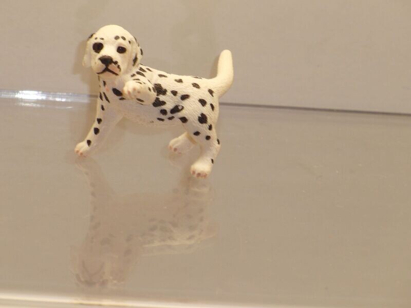 Schleich: 16839 Dalmatiner Welpe Schleich: 16839 Dalmatiner Welpe