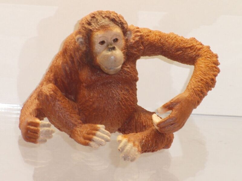 Schleich: 14775 Orang-Utan Weibchen Schleich: 14775 Orang-Utan Weibchen