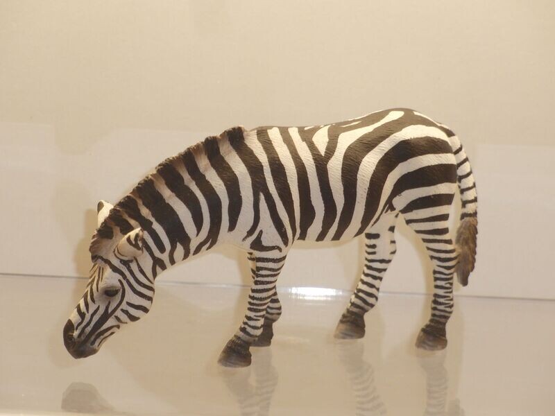 Schleich: 14609 Zebra grasend Schleich: 14609 Zebra grasend