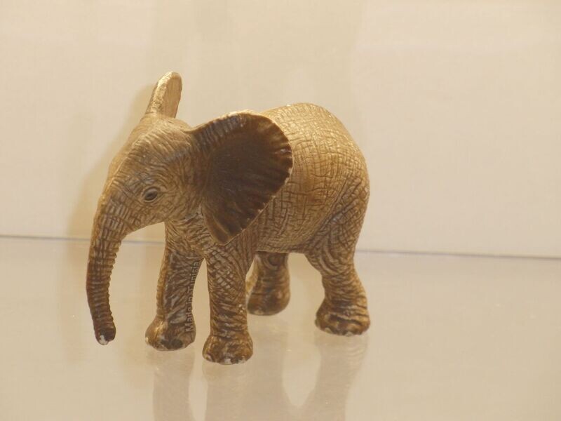 Schleich: 14763 Afrikanisches Elefantenbaby Schleich: 14763 Afrikanisches Elefantenbaby