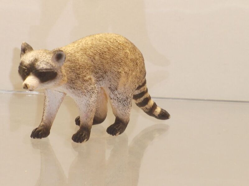 Schleich: 14828 Waschbär