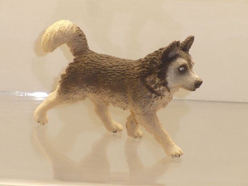 Schleich: 16835 Husky