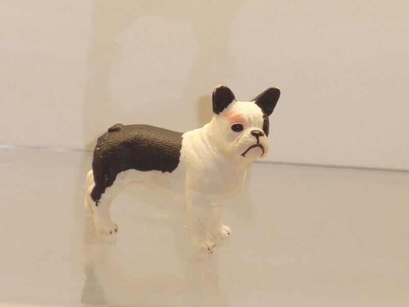 Schleich: 13877 Französische Bulldogge Schleich: 13877 Französische Bulldogge