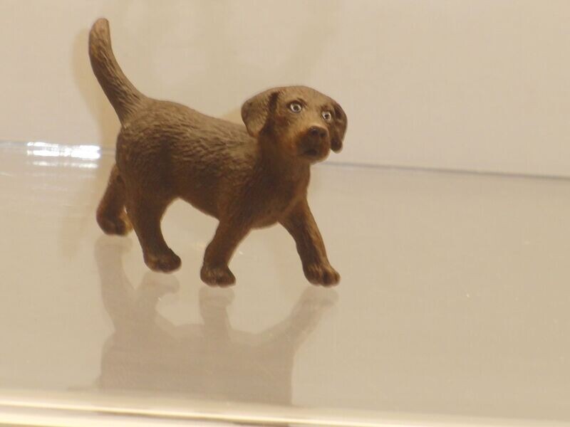 Schleich: 16388 Labrador Welpe