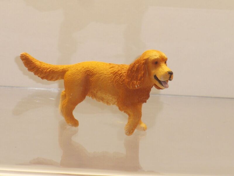 Schleich: 13896 Englischer Cocker Spaniel Schleich: 13896 Englischer Cocker Spaniel