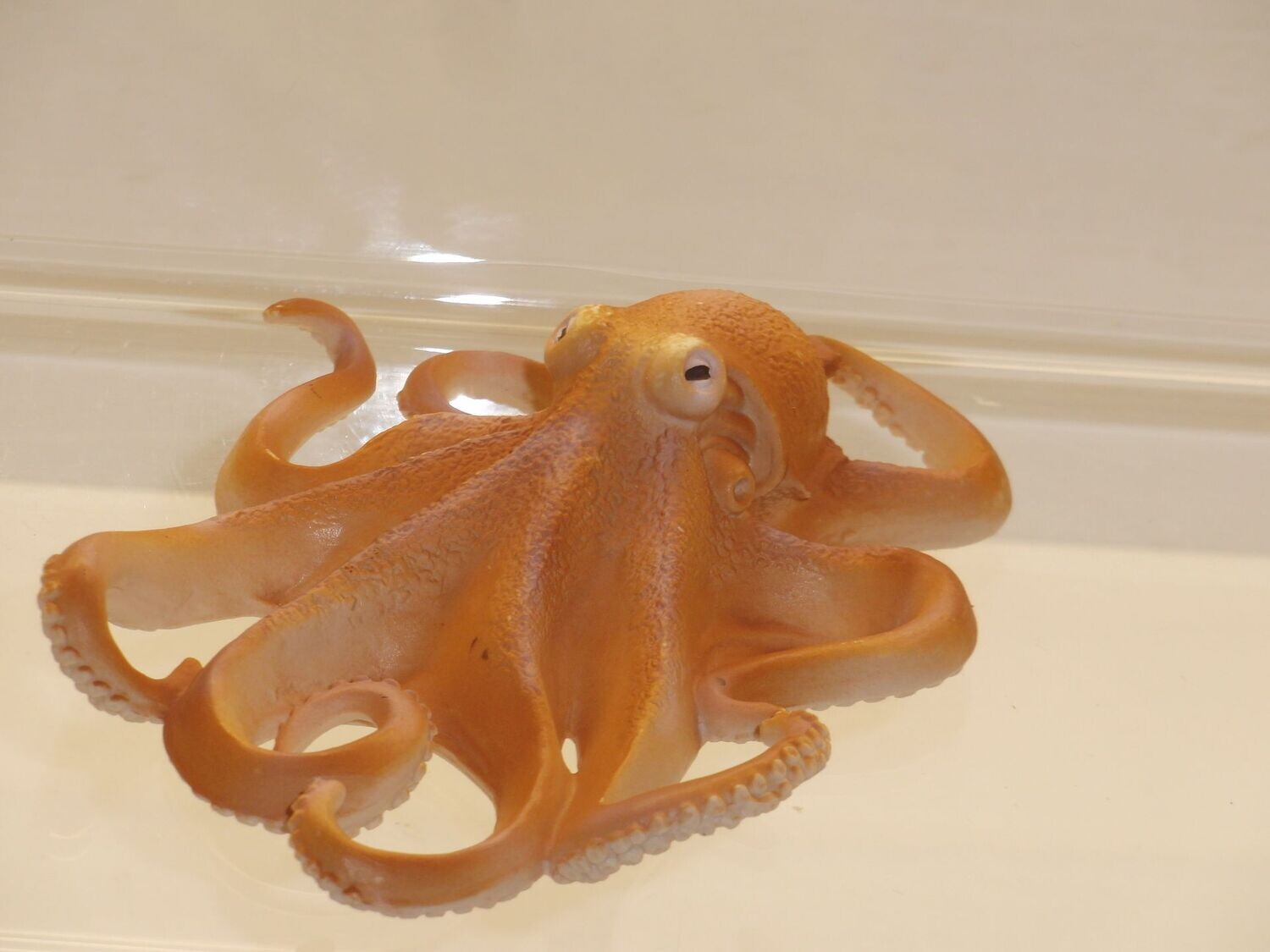 Schleich: 16085 Riesenkrake 1:32