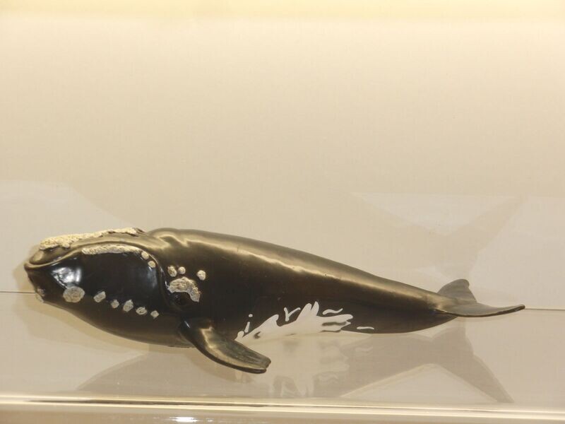 Schleich: 14558 Nordkapper