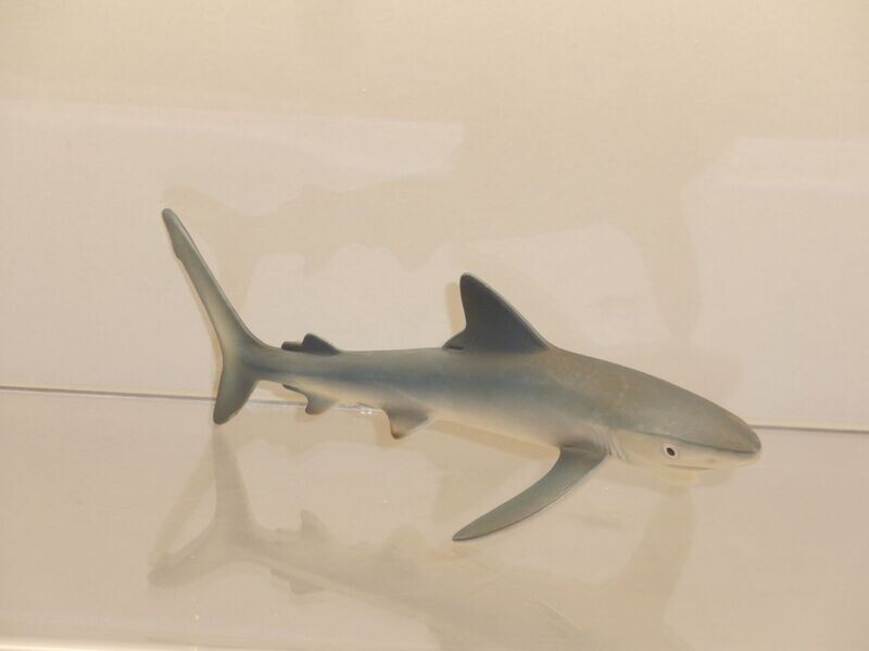 Schleich: 14701 Blauhai