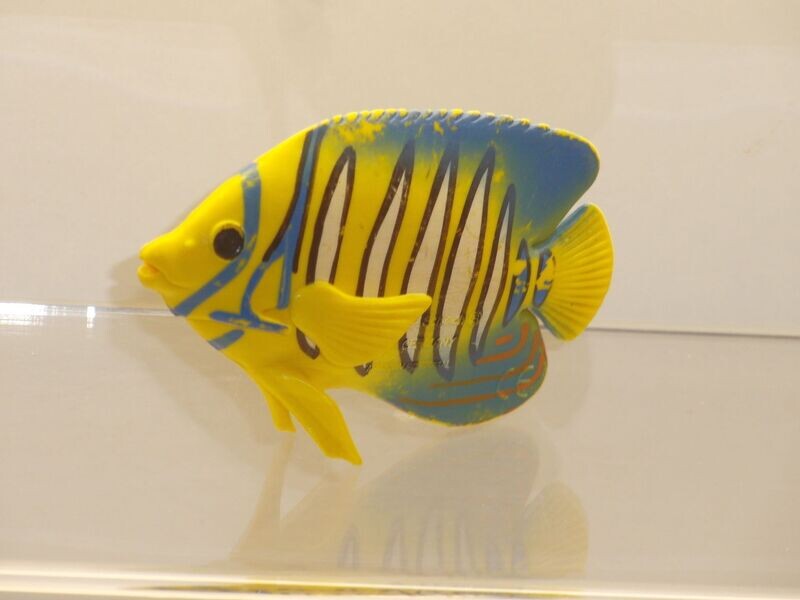 Schleich: 16256 Pfauenaugen-Kaiserfisch