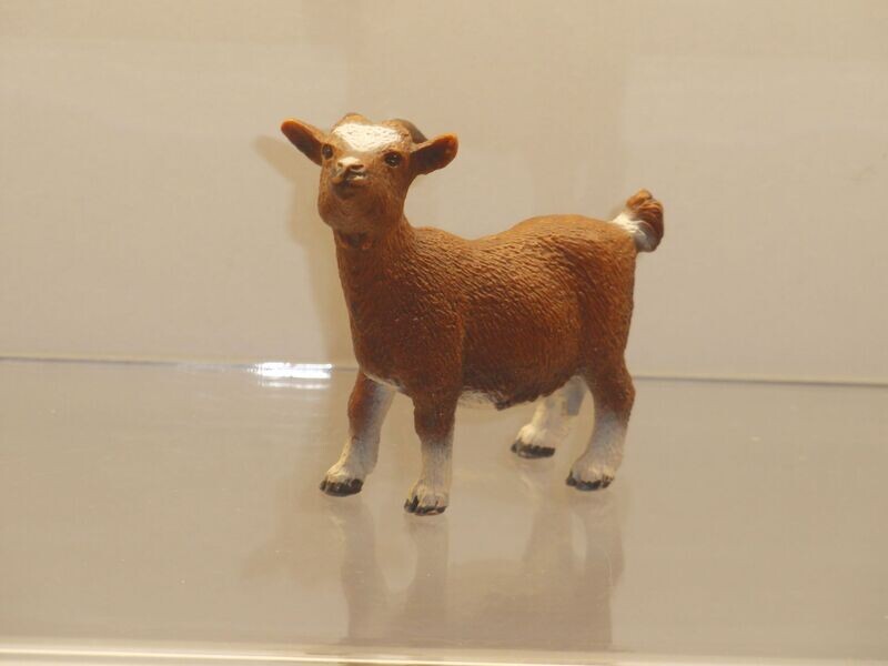 Schleich: 13715 Zwergziege