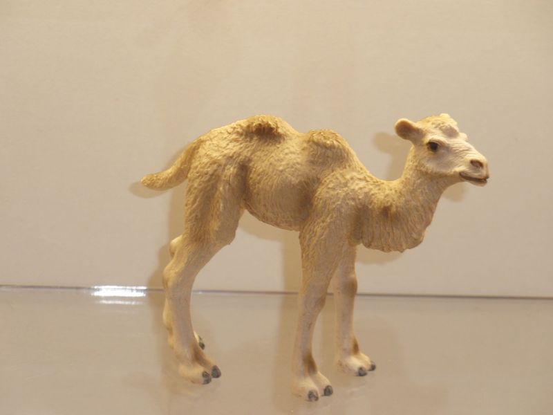Schleich: 14602 Trampeltier Fohlen Schleich: 14602 Trampeltier Fohlen