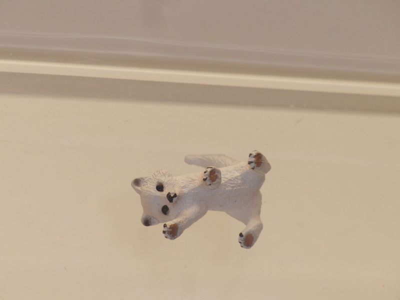 Schleich: 14639 Polarfuchs Junges Schleich: 14639 Polarfuchs Junges