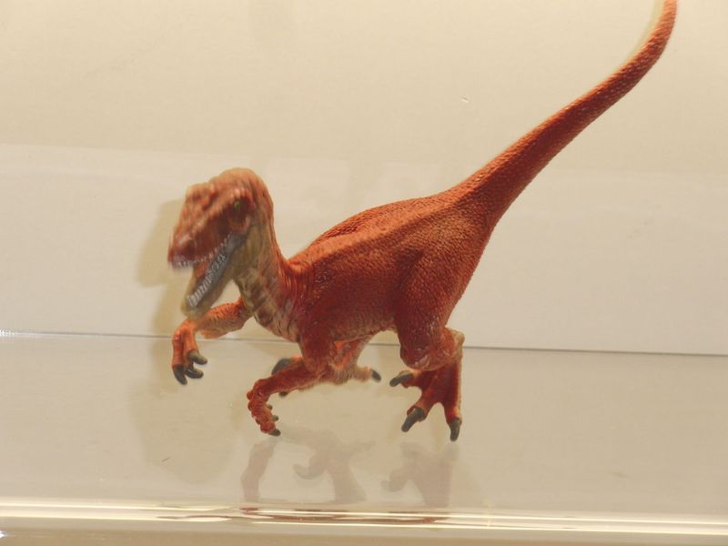 Schleich: Velociraptor rot 2011 Schleich: Velociraptor rot 2011