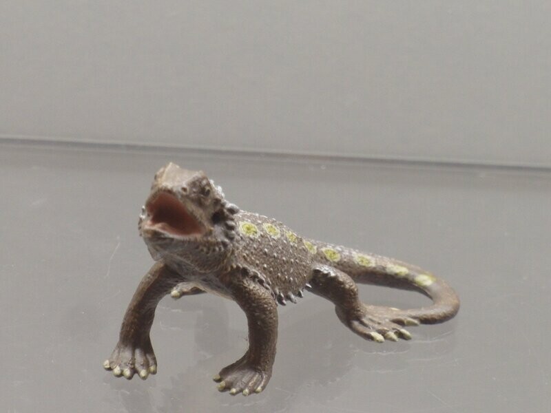 Schleich: 14675 Bartagame Schleich: 14675 Bartagame