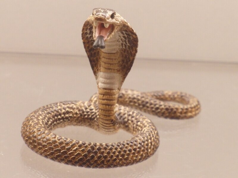 Schleich: 14733 Kobra Schleich: 14733 Kobra