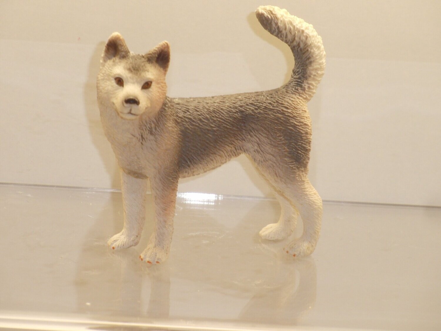 Schleich: 16372 Husky Hündin Schleich: 16372 Husky Hündin