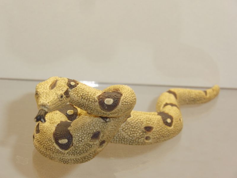 Schleich: 14739 Boa Constrictor Schleich: 14739 Boa Constrictor 